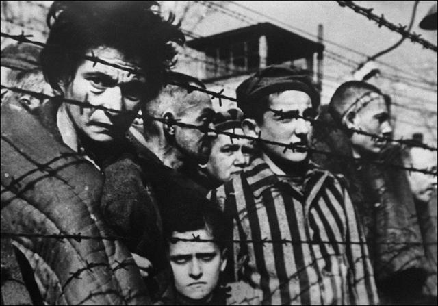 Auschwitz. Storia e memorie